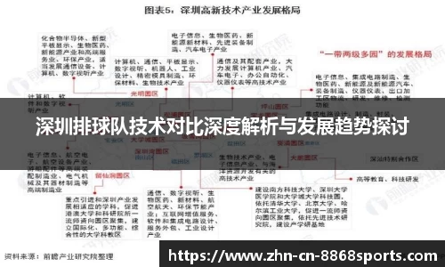 深圳排球队技术对比深度解析与发展趋势探讨